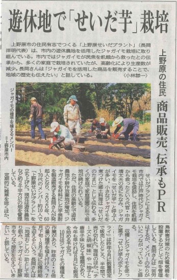 山梨日日新聞（2024年4月19日）せいだ芋の栽培